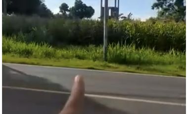 Raya daendles brondong lamongan