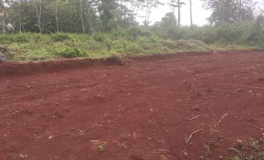 Dijual tanah 310 m2, 170 m2, atau 140 m2 di Kandeman Batang, Dekat Pantura dan Pintu Toll, dan Pusat Kota Batang