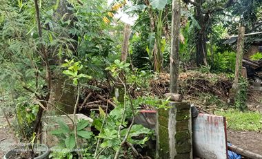 TANAH BONUS RUMAH HERITAGE MURAH STRATEGIS DEKAT ALUN ALUN KOTA YOGYA