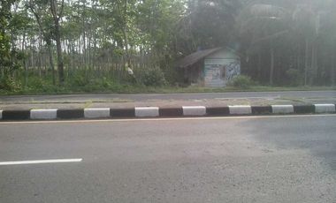 TANAH MURAH STRATEGIS DI JL LINTAS SELATAN PURWODADI PURWOREJO JATENG