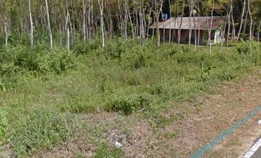 TANAH MURAH STRATEGIS DI JL LINTAS SELATAN PURWODADI PURWOREJO JATENG