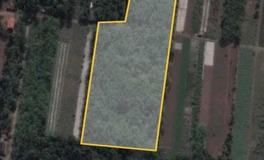 TANAH MURAH STRATEGIS DI JL LINTAS SELATAN PURWODADI PURWOREJO JATENG