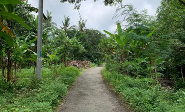 Tanah Malimbu dekat Resort Louis Kienne cocok untuk kebun