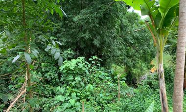 Tanah Malimbu dekat Resort Louis Kienne cocok untuk kebun