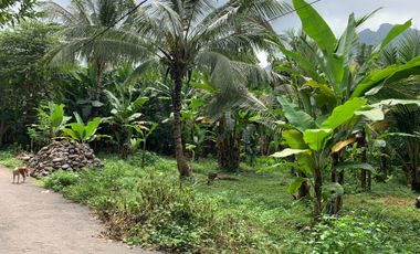 Tanah Malimbu dekat Resort Louis Kienne cocok untuk kebun