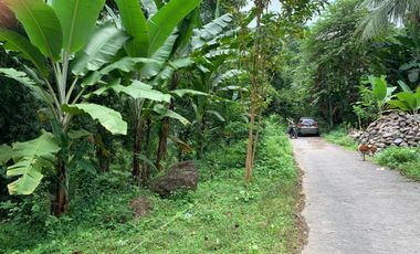 Tanah Malimbu dekat Resort Louis Kienne cocok untuk kebun