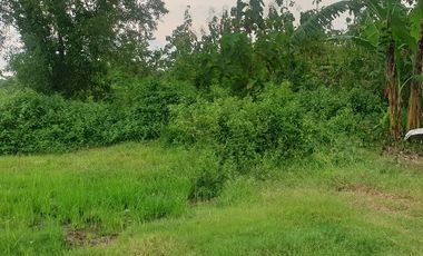 Tanah Industri Pabrik Gudang Raya Kemlagi Mantup Lamongan Mojokerto