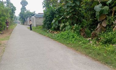 BU Dijual Tanah Pekarangan cocok untuk perumahan di Jimbe Blitar