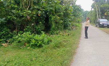 BU Dijual Tanah Pekarangan cocok untuk perumahan di Jimbe Blitar