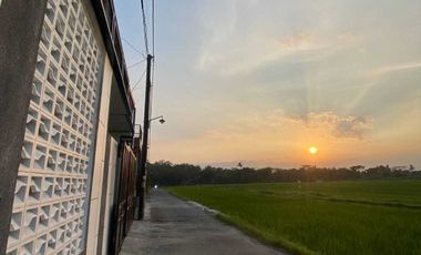 HOMESTAY VIEW SUNSET DAN SAWAH LOKASI DI JL WATES KM 7 SLEMAN YOGYA