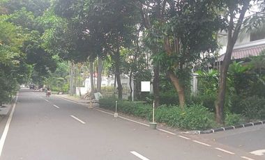 Rumah Luas Nyaman Kawasan Elit Strategis Jl.Kertanegara Kebayoran Baru