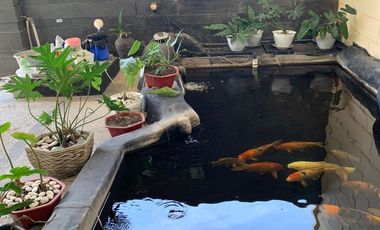 GiLA ada kolam renang bwah 4M SERIUS? citraland fullerton fulerton stamford