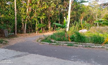 tanah murah,view sawah.area geblek pari nanggulan