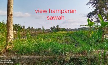 tanah murah,view sawah.area geblek pari nanggulan