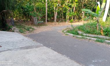 tanah murah,view sawah.area geblek pari nanggulan