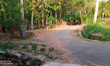 tanah murah,dekat geblek pari nanggulan