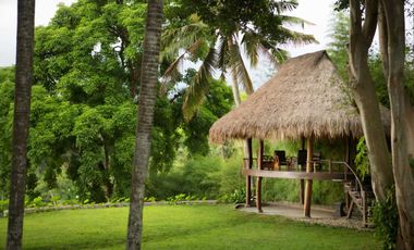 LUXURY JUNGLE VIEW VILLA FOR SALE AT UBUD BALI