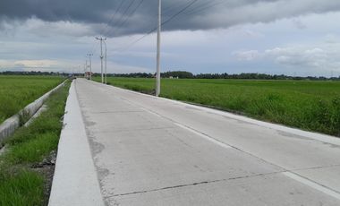 Tanah 500 m² Pinggir Jalan Sawah Luhur