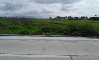 Tanah 500 m² Pinggir Jalan Sawah Luhur
