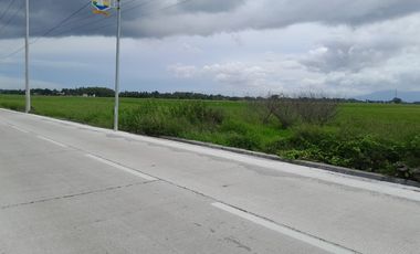 Tanah 500 m² Pinggir Jalan Sawah Luhur