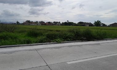 Tanah 500 m² Pinggir Jalan Sawah Luhur
