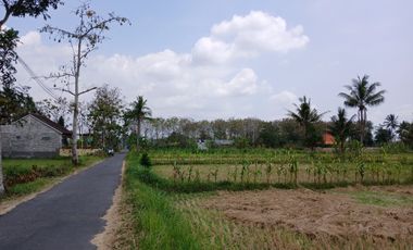 Utara RS Puri Husada Palagan Sleman, Tanah Untuk Investasi, View Sawah