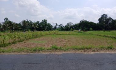 Utara RS Puri Husada Palagan Sleman, Tanah Untuk Investasi, View Sawah