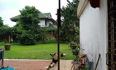 Tanah 1493 m cocok unt Resto Cafe Jl RE Abdullah  Pasir Mulya  Bogor