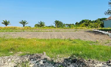 10 Menitan Canggu Tanah Dijual View Sawah, Sunset, Sunrice, Mountain