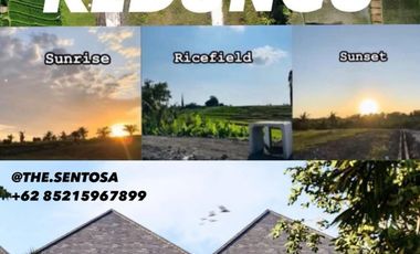 10 Menitan Canggu Tanah Dijual View Sawah, Sunset, Sunrice, Mountain
