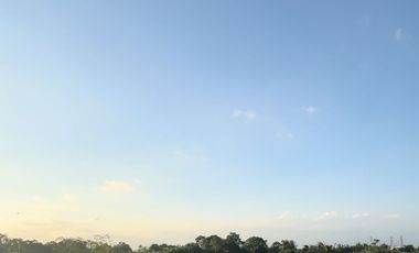 10 Menitan Canggu Tanah Dijual View Sawah, Sunset, Sunrice, Mountain