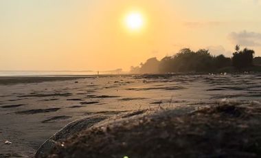 10 Menitan Canggu Tanah Dijual View Sawah, Sunset, Sunrice, Mountain