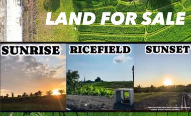 10 Menitan Canggu Tanah Dijual View Sawah, Sunset, Sunrice, Mountain