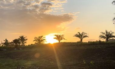 10 Menitan Canggu Tanah Dijual View Sawah, Sunset, Sunrice, Mountain