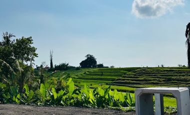 10 Menitan Canggu Tanah Dijual View Sawah, Sunset, Sunrice, Mountain