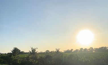 10 Menitan Canggu Tanah Dijual View Sawah, Sunset, Sunrice, Mountain