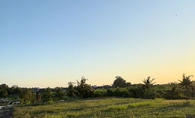 10 Menitan Canggu Tanah Dijual View Sawah, Sunset, Sunrice, Mountain