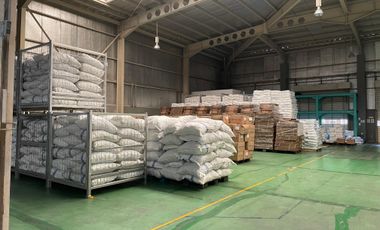 Raya denpasar gilimanuk tabanan bali