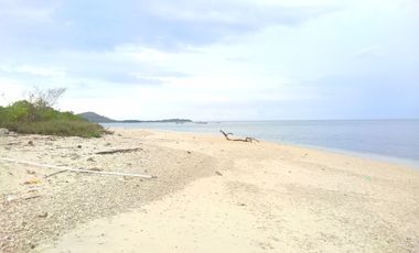 Land for sale Gili gede Lombok