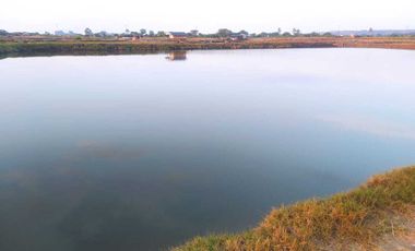 Tanah tambak 20 hektare area Pernang Buer Sumbawa NTB