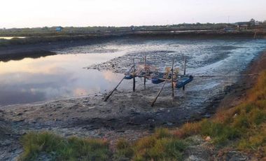 Tanah tambak 20 hektare area Pernang Buer Sumbawa NTB