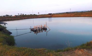 Tanah tambak 20 hektare area Pernang Buer Sumbawa NTB
