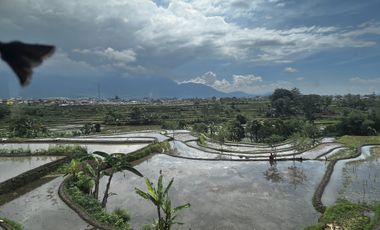 Rumah Villa Beserta Tanah dekat ke Jalan Pembangunan