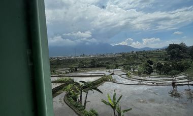 Rumah Villa Beserta Tanah dekat ke Jalan Pembangunan
