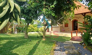 For Rent/sale Villa besar  view sawah jungle kemenuh dekat ubud