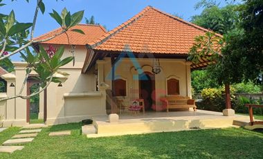 For Rent/sale Villa besar  view sawah jungle kemenuh dekat ubud