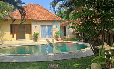 For Rent/sale Villa besar  view sawah jungle kemenuh dekat ubud