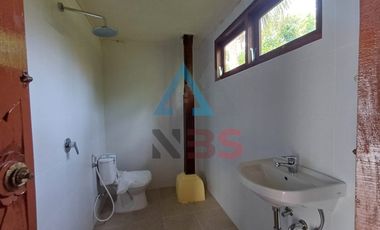 For Rent/sale Villa besar  view sawah jungle kemenuh dekat ubud