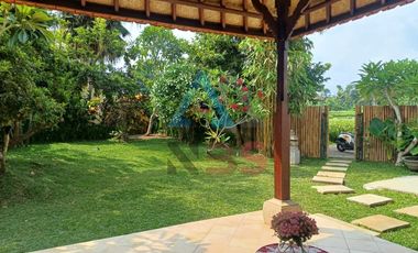 For Rent/sale Villa besar  view sawah jungle kemenuh dekat ubud