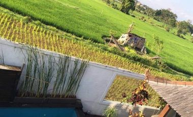 Buc villa 250m2 pool,furnis view sawah elit sekar jepun gatsu dkt mall